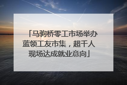 马驹桥零工市场举办蓝领工友市集，超千人现场达成就业意向