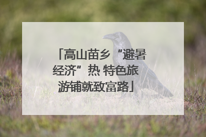 高山苗乡“避暑经济”热 特色旅游铺就致富路
