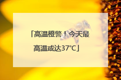 高温橙警！今天最高温或达37℃