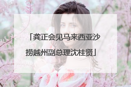 龚正会见马来西亚沙捞越州副总理沈桂贤