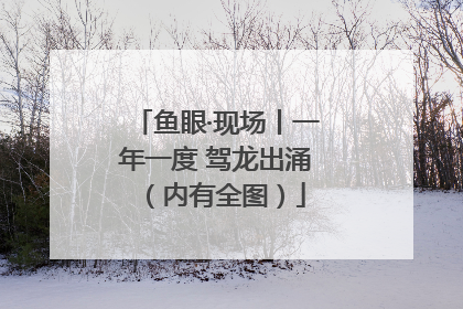 鱼眼·现场丨一年一度 驾龙出涌（内有全图）
