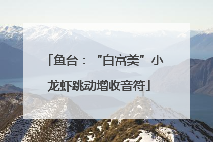 鱼台：“白富美”小龙虾跳动增收音符