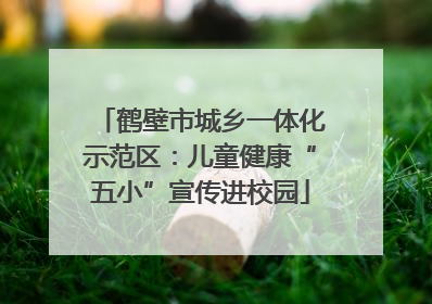 鹤壁市城乡一体化示范区：儿童健康“五小”宣传进校园