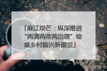 麻江坝芒：纵深推进“两清两改两治理”绘就乡村振兴新图景