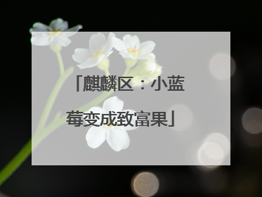 麒麟区：小蓝莓变成致富果
