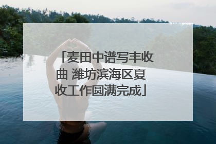 麦田中谱写丰收曲 潍坊滨海区夏收工作圆满完成