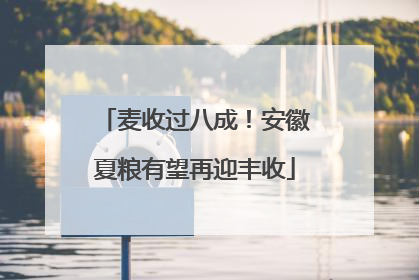 麦收过八成！安徽夏粮有望再迎丰收