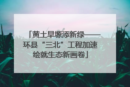 黄土旱塬添新绿——环县“三北”工程加速绘就生态新画卷