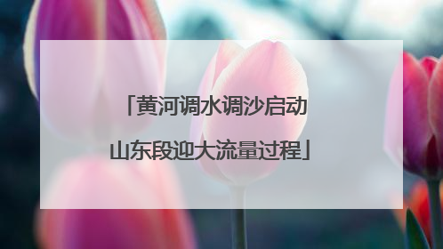 黄河调水调沙启动 山东段迎大流量过程