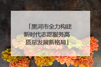 黑河市全力构建新时代志愿服务高质量发展新格局