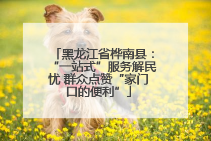 黑龙江省桦南县：“一站式”服务解民忧 群众点赞“家门口的便利”