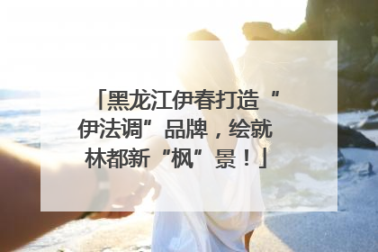 黑龙江伊春打造“伊法调”品牌，绘就林都新“枫”景！