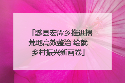 黟县宏潭乡推进撂荒地高效整治 绘就乡村振兴新画卷