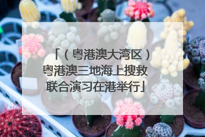 （粤港澳大湾区）粤港澳三地海上搜救联合演习在港举行