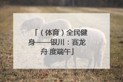 （体育）全民健身——银川：赛龙舟 度端午