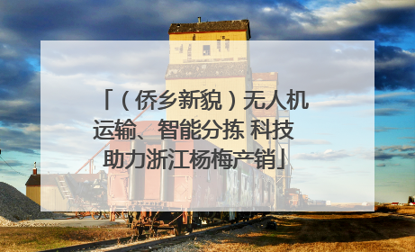（侨乡新貌）无人机运输、智能分拣 科技助力浙江杨梅产销