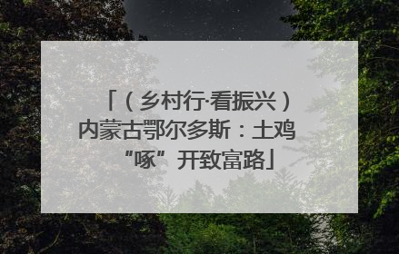 （乡村行·看振兴）内蒙古鄂尔多斯：土鸡“啄”开致富路