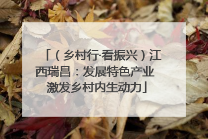 （乡村行·看振兴）江西瑞昌：发展特色产业 激发乡村内生动力