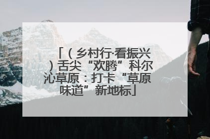（乡村行·看振兴）舌尖“欢腾”科尔沁草原：打卡“草原味道”新地标