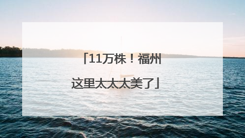11万株！福州这里太太太美了