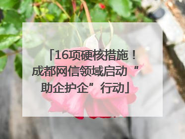 16项硬核措施！成都网信领域启动“助企护企”行动