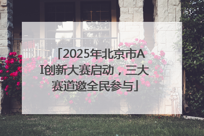 2025年北京市AI创新大赛启动，三大赛道邀全民参与