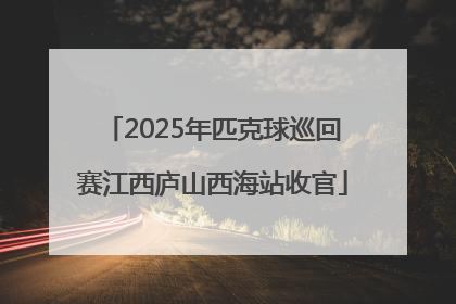 2025年匹克球巡回赛江西庐山西海站收官