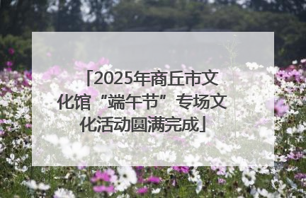 2025年商丘市文化馆“端午节”专场文化活动圆满完成
