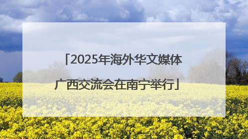 2025年海外华文媒体广西交流会在南宁举行