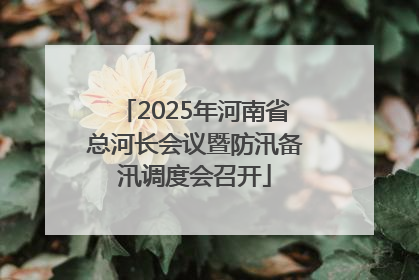 2025年河南省总河长会议暨防汛备汛调度会召开