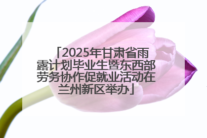 2025年甘肃省雨露计划毕业生暨东西部劳务协作促就业活动在兰州新区举办