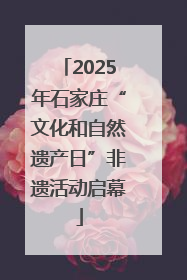 2025年石家庄“文化和自然遗产日”非遗活动启幕