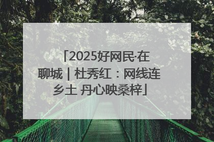 2025好网民·在聊城｜杜秀红：网线连乡土 丹心映桑梓