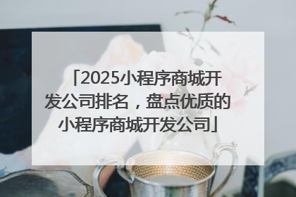 2025小程序商城开发公司排名，盘点优质的小程序商城开发公司