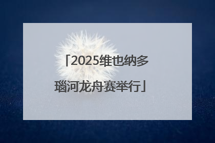 2025维也纳多瑙河龙舟赛举行