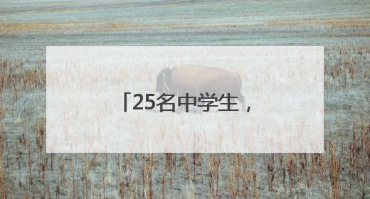 25名中学生，在青海成功发射一枚探空火箭