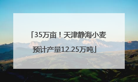 35万亩！天津静海小麦预计产量12.25万吨