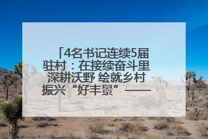 4名书记连续5届驻村：在接续奋斗里深耕沃野 绘就乡村振兴“好丰景”——浦发银行南京分行助力脱贫攻坚、帮促乡村振兴记事（二）