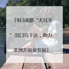 9只成都“大耳羊”出口乌干达，助力非洲养殖业发展