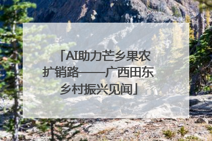 AI助力芒乡果农扩销路——广西田东乡村振兴见闻