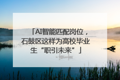 AI智能匹配岗位，石鼓区这样为高校毕业生“职引未来”