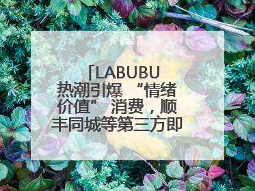 LABUBU 热潮引爆 “情绪价值” 消费，顺丰同城等第三方即配乘风而起