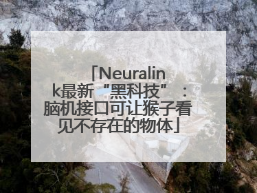 Neuralink最新“黑科技”：脑机接口可让猴子看见不存在的物体
