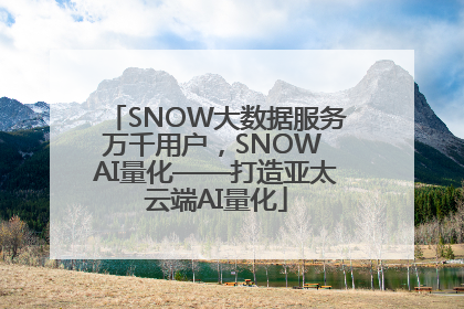 SNOW大数据服务万千用户，SNOW AI量化——打造亚太云端AI量化