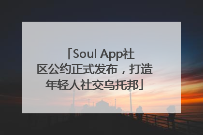 Soul App社区公约正式发布，打造年轻人社交乌托邦