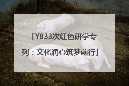 Y833次红色研学专列：文化润心筑梦前行