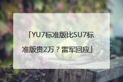 YU7标准版比SU7标准版贵2万？雷军回应